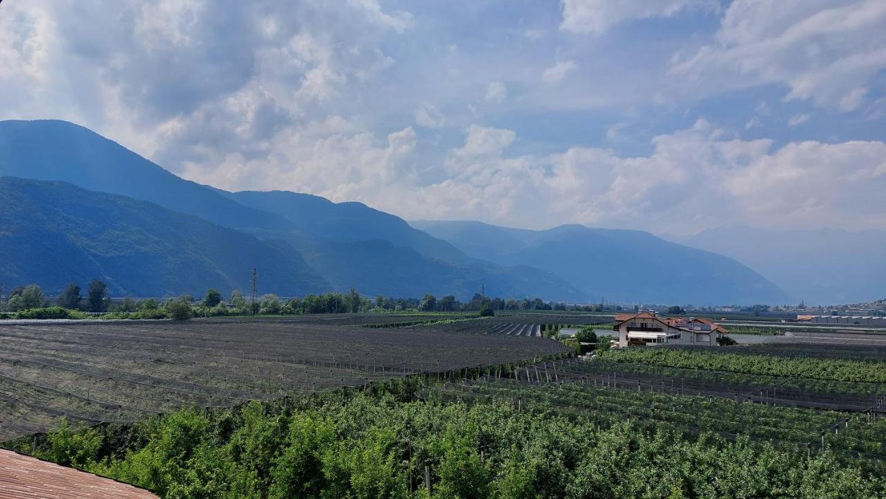 Mittelbergerhof Ferienwohnungen Vilpiano 外观 照片